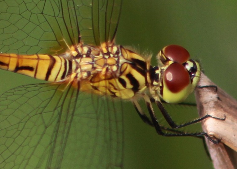 c0172139_235234.jpg