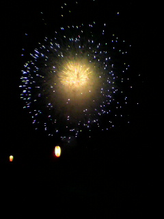 花火大会_d0004447_133386.jpg