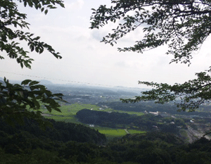 f0229250_18554986.gif