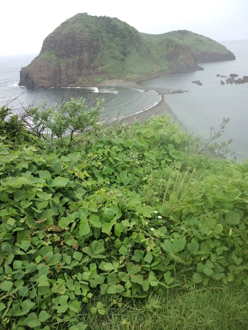 佐渡島に行ってきました_d0082655_2293762.jpg