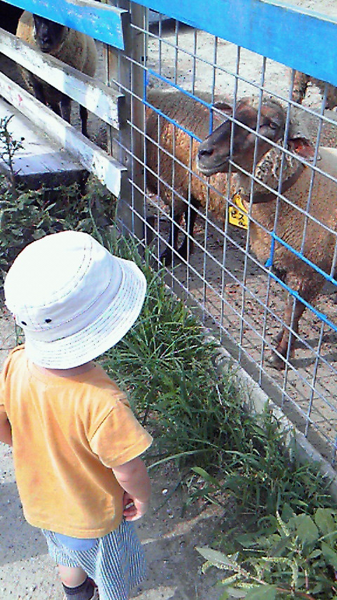 e0124155_1931320.jpg