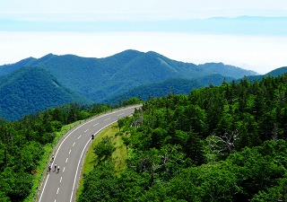 c0047856_6273514.jpg