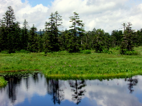b0165760_19415141.jpg