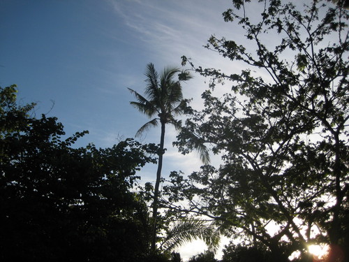 b0193060_17502220.jpg