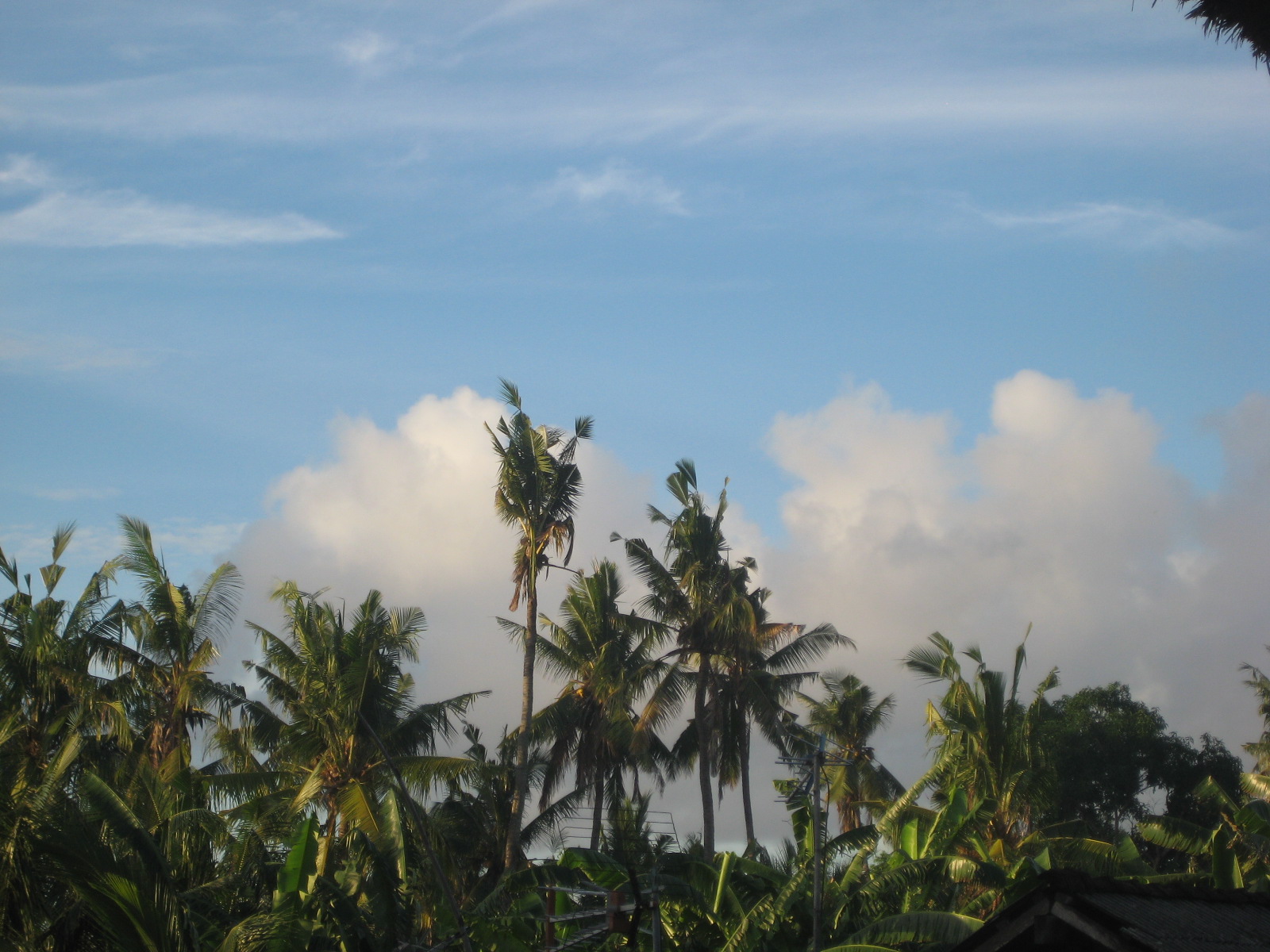 b0193060_1753790.jpg