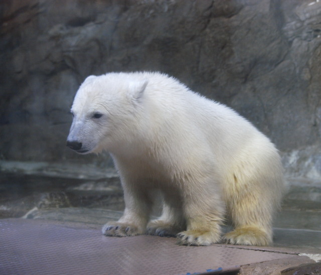c0186760_2019556.jpg