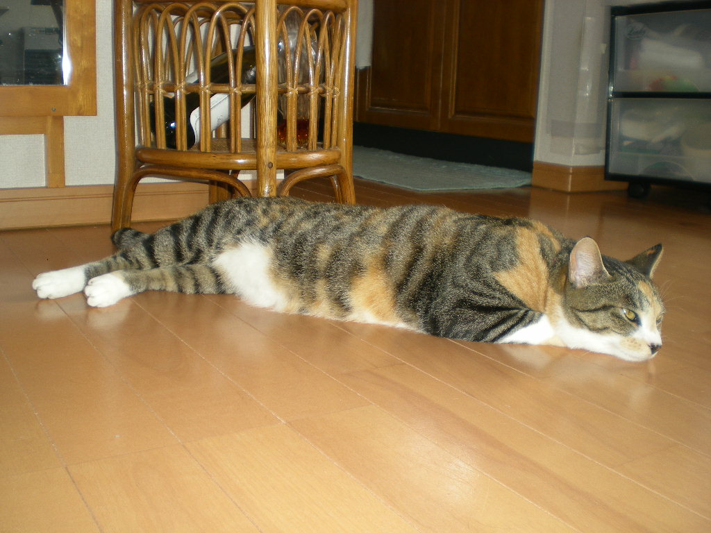 2010年8月1日(日)もう8月!_f0060461_9231286.jpg