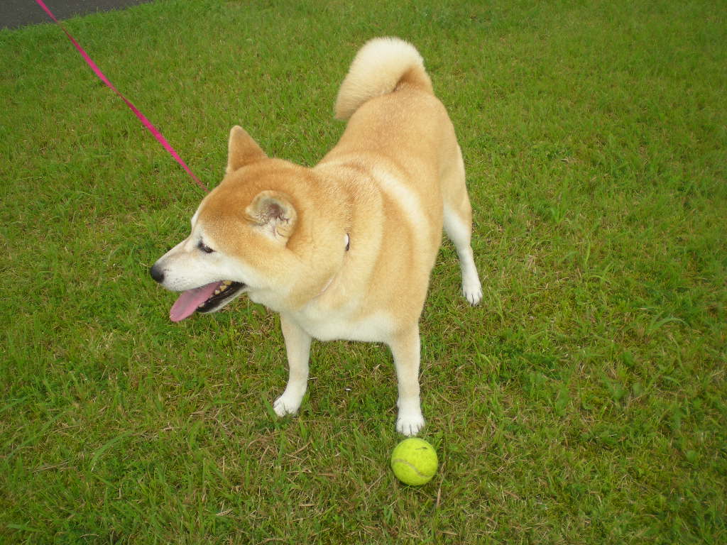 2010年8月1日(日)もう8月!_f0060461_926010.jpg