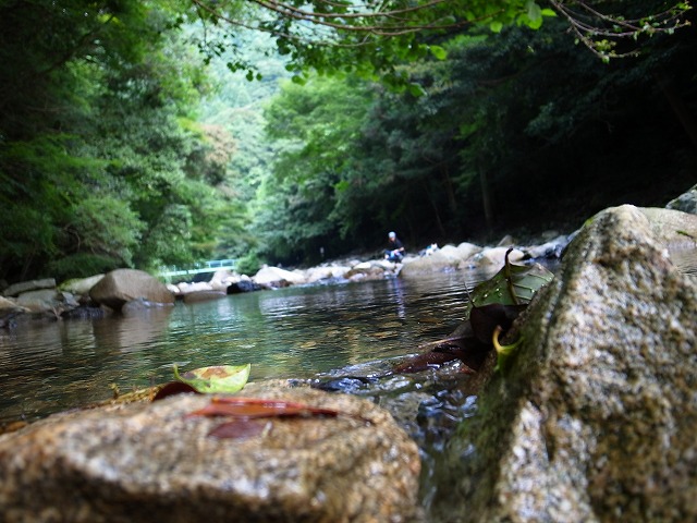 c0081363_03117.jpg