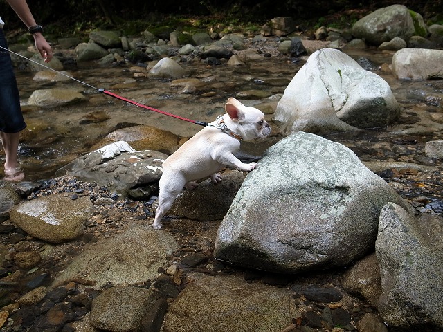 c0081363_03787.jpg