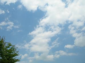 f0139963_1041653.jpg