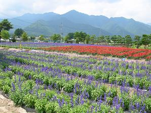 美術館ツアー　安曇野ちひろ美術館　その一_f0139963_104361.jpg