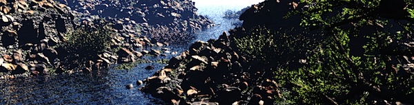 b0141865_18203782.jpg