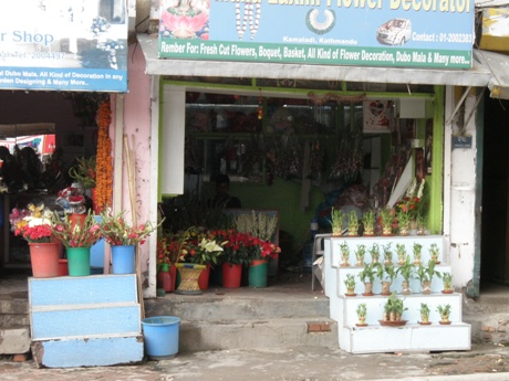 e0155370_20404456.jpg