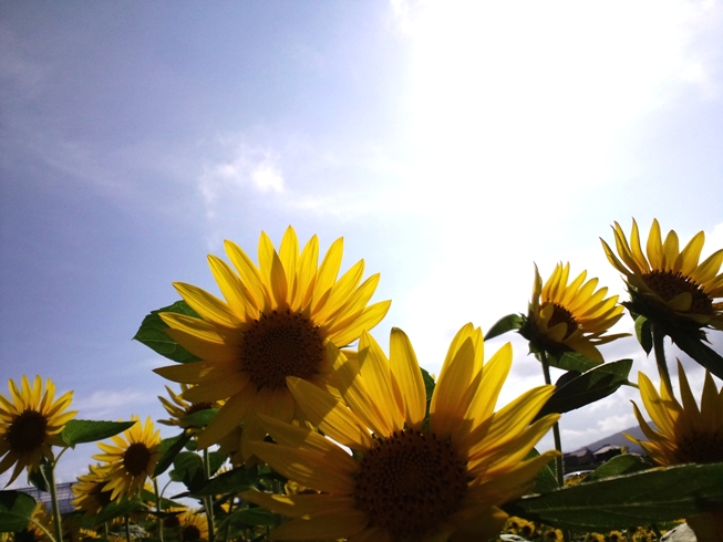 c0069372_2232494.jpg