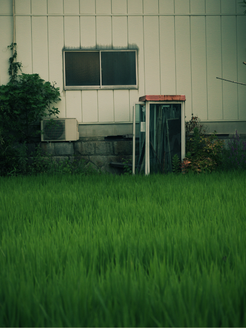 f0167977_19612100.jpg