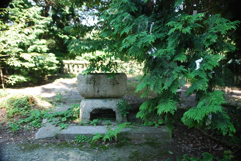 c0187781_35348.jpg