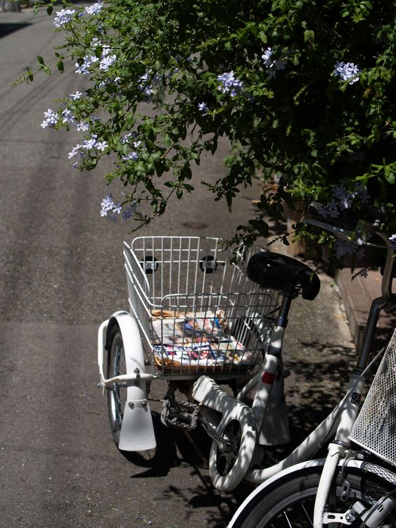 三輪自転車のある風景_a0159782_057263.jpg