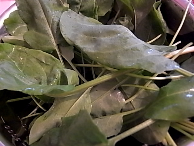 d0170682_214126.jpg