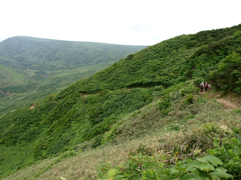 b0108186_09501.jpg