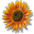 d0171087_17172144.gif