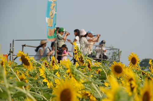 a0116088_17581461.jpg