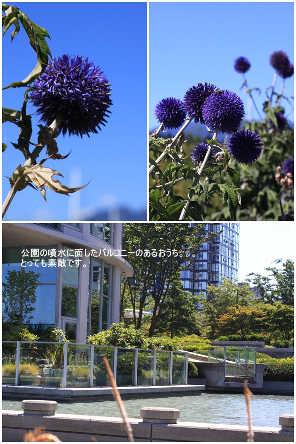 c0164491_6103586.jpg