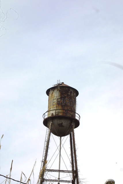 c0062603_105446100.jpg