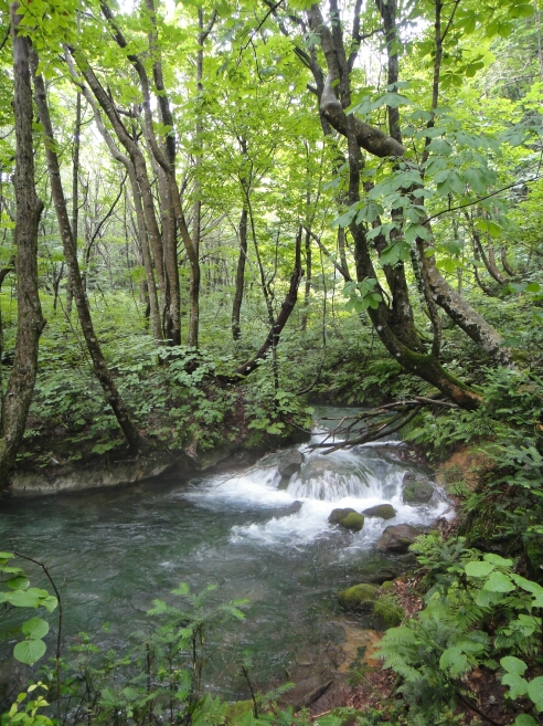 b0172805_2241433.jpg