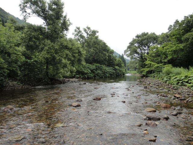 b0172805_2361384.jpg