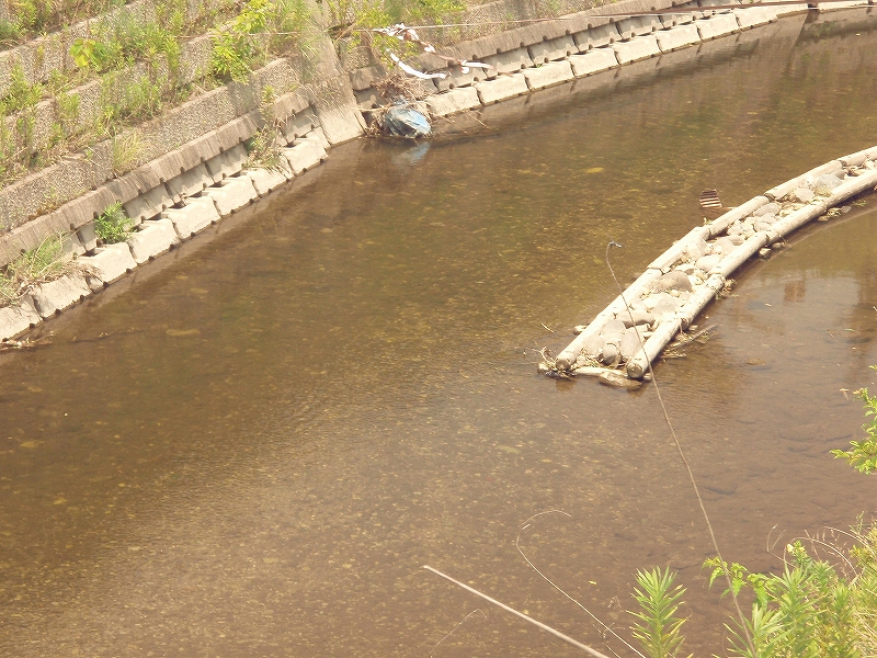 c0163207_1143403.jpg