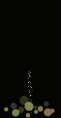 e0187507_1055287.gif