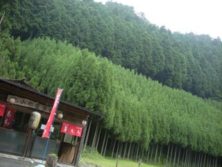 b0183911_018836.jpg