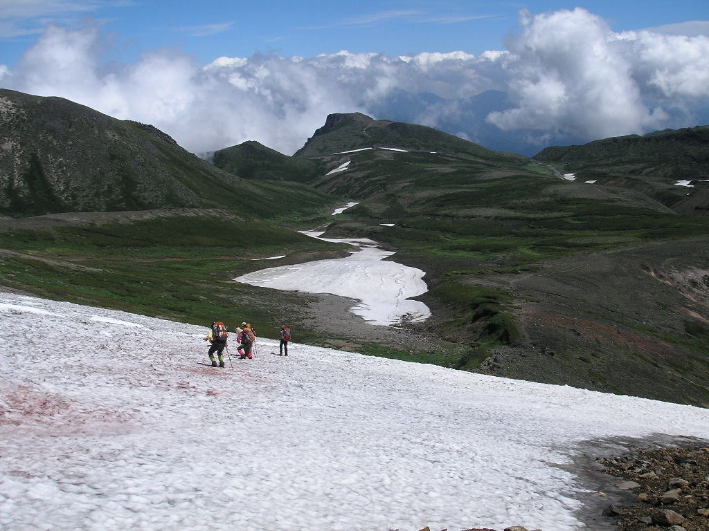 7/31 大雪山　旭岳～黒岳縦走_a0048823_22173022.jpg