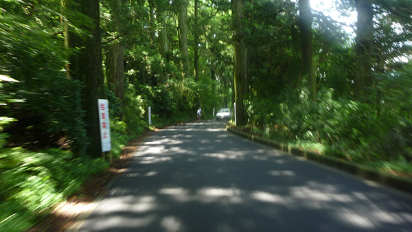 e0089826_22104891.jpg