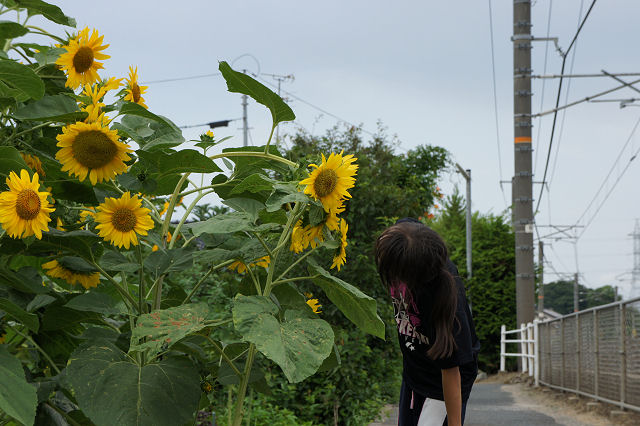f0007926_1702159.jpg