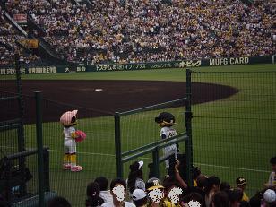 d0098335_2331190.jpg