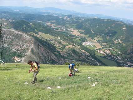 高山は夏もキノコ三昧_f0234936_19201822.jpg