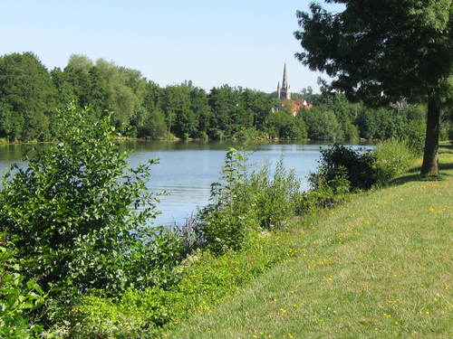 d0176838_1142628.jpg