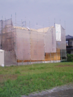 d0086439_10212779.jpg