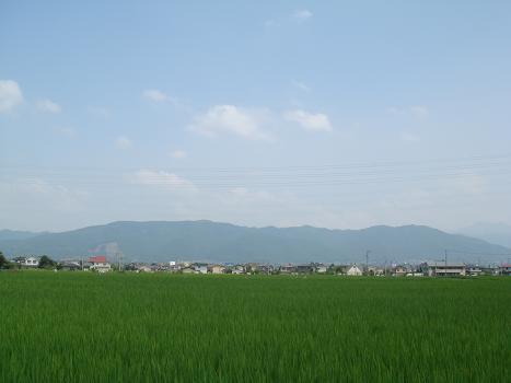 月曜日感覚_a0014840_1854336.jpg