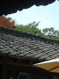 小さな夏休み_a0014840_20523433.jpg