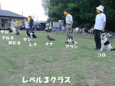 f0186040_21563153.jpg