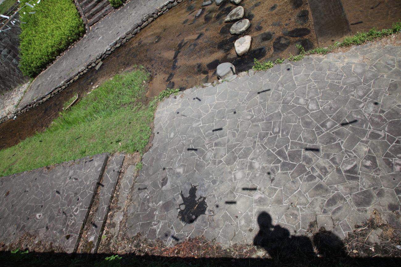 d0110849_102521.jpg