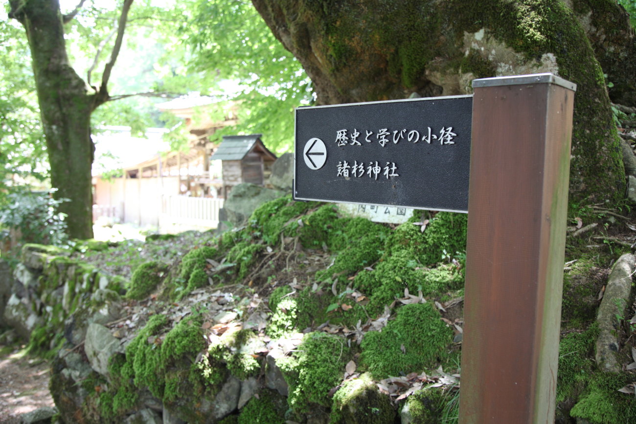 d0110849_1373099.jpg