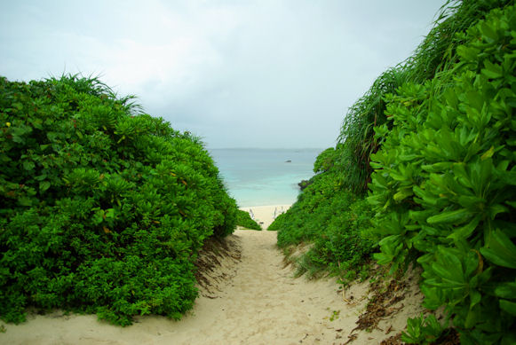 夏休み旅行記　宮古島2日目_c0058561_14392970.jpg