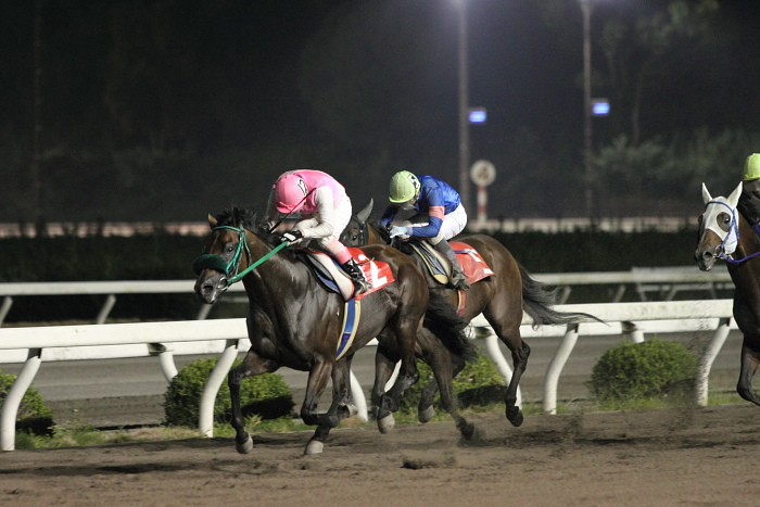 2010年8月2日（月） 高知競馬 10R 夜さ恋ナイター1周年特別 A-1 選抜馬_a0077663_22381428.jpg