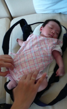 可愛いお客様_e0148373_8535941.jpg