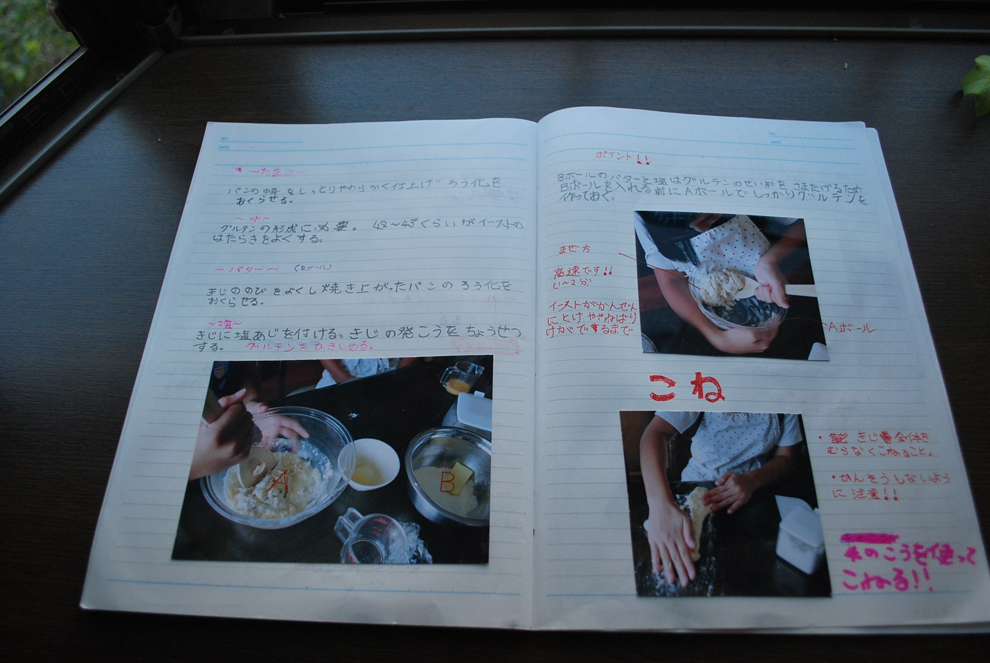 パン作りで夏休み自由研究 手作りぱん日記 パン作りで夏休み自由研究 手作りぱん日記