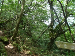 d0182075_4191553.jpg